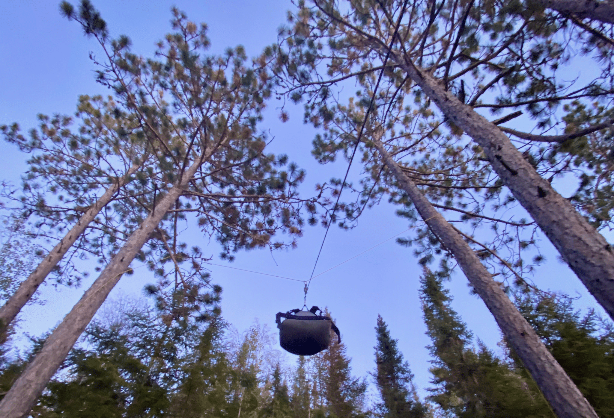 bear country food storage
