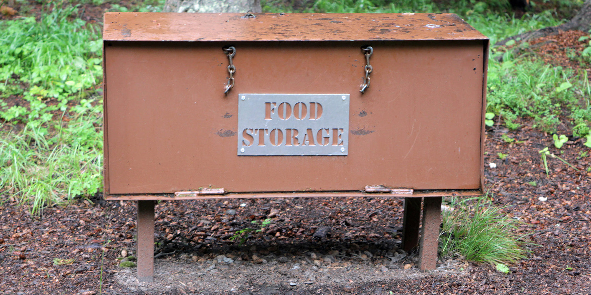 How to Store Food in Bear Country Safely