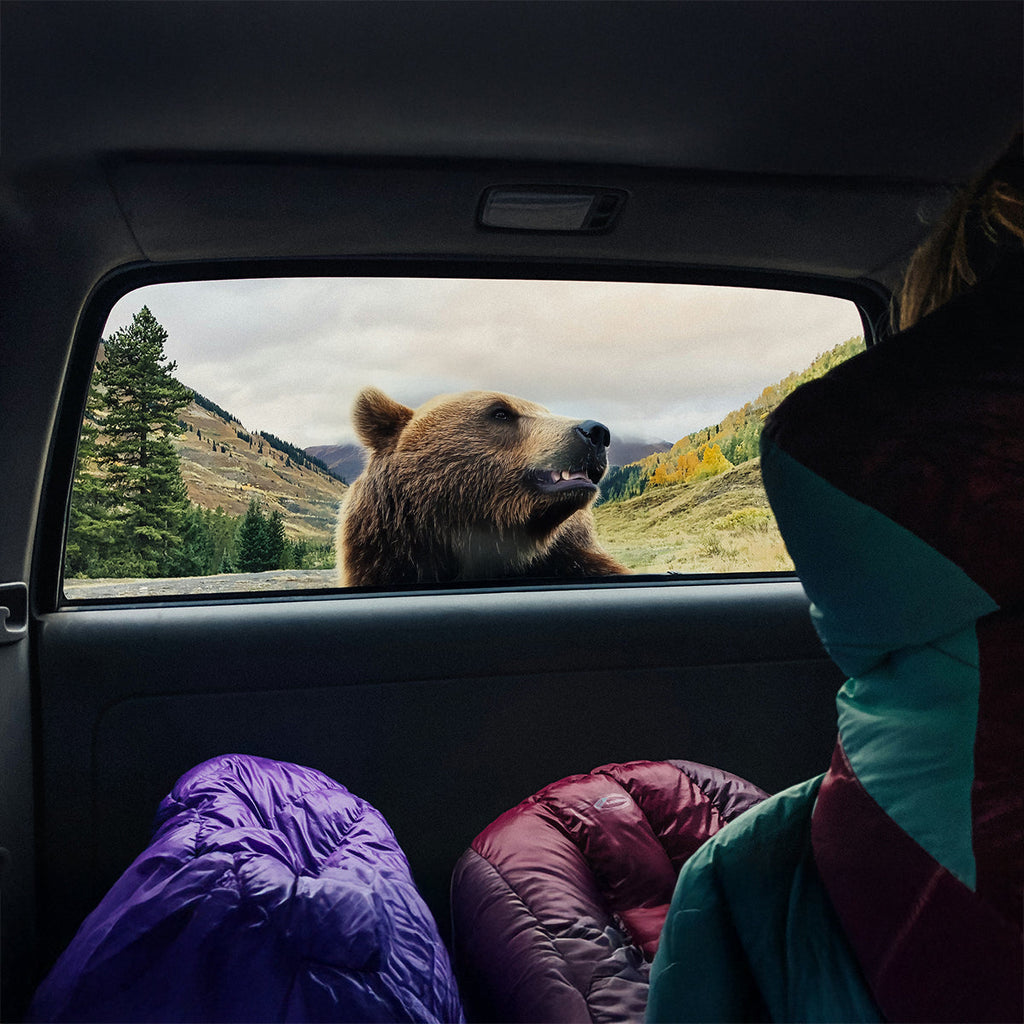bear country food storage