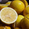 fresh lemon