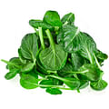 fresh spinach leaves
