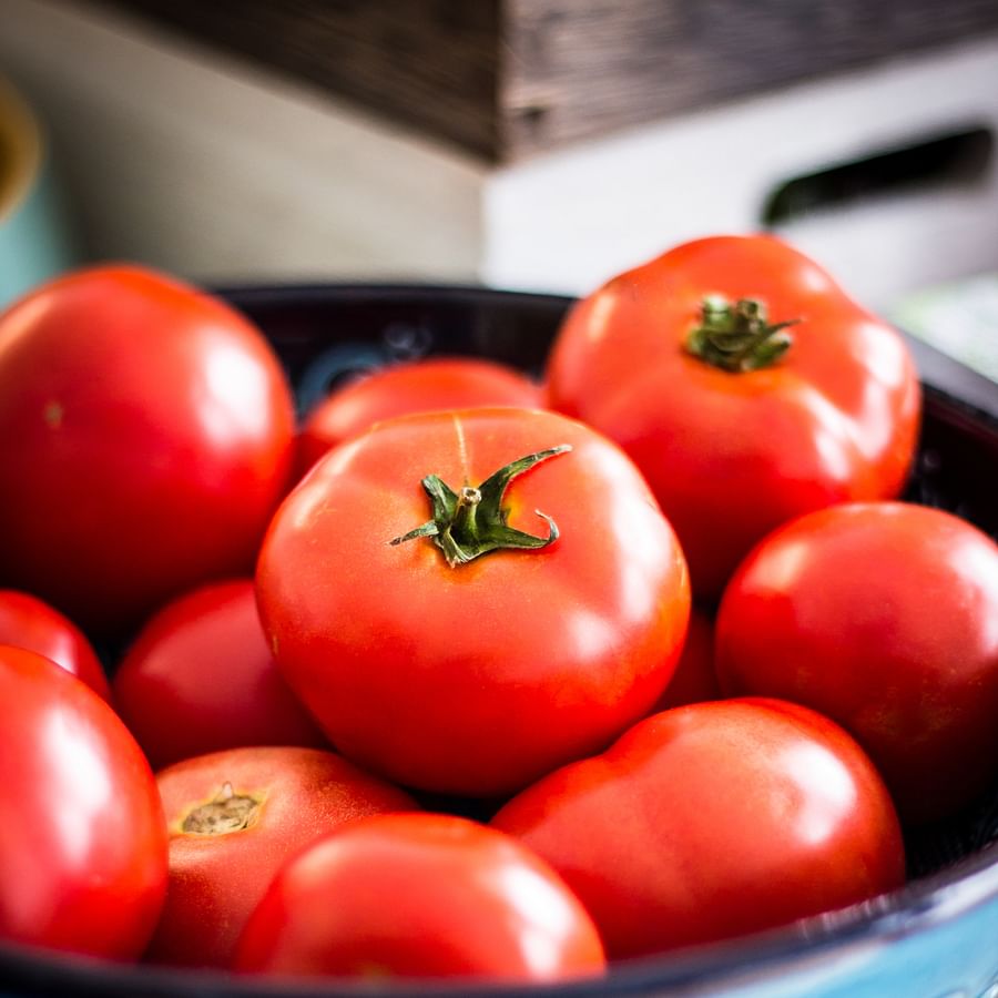 Camper cooking food during a camping trip
