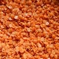 dried red lentils