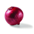 onion