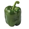 bell pepper