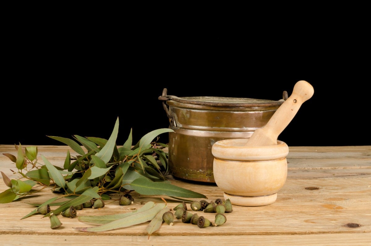 Lemon Eucalyptus Tea