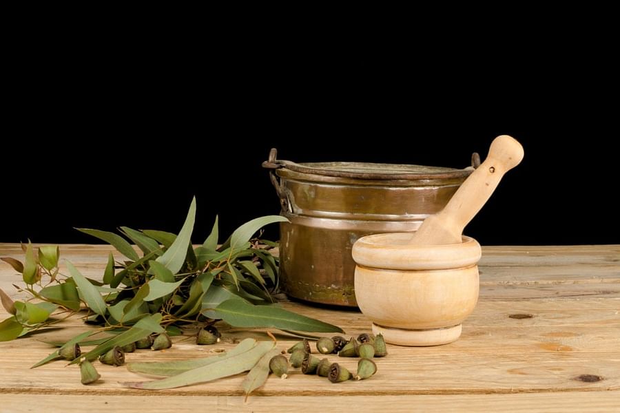 Lemon Eucalyptus Tea