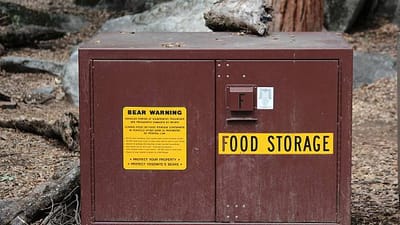 Bear-Safe Food Storage Techniques: Protect Your Meals and Wildlife in Bear Country