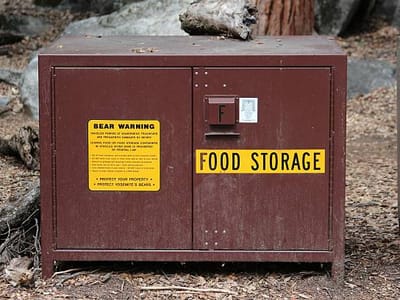 Bear-Safe Food Storage Techniques: Protect Your Meals and Wildlife in Bear Country