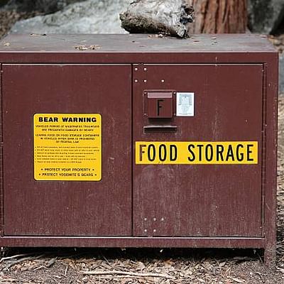 Bear-Safe Food Storage Techniques: Protect Your Meals and Wildlife in Bear Country