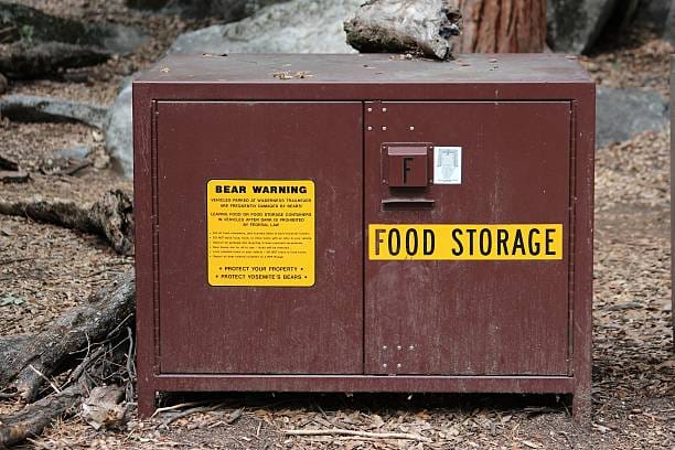 Bear-Safe Food Storage Techniques: Protect Your Meals and Wildlife in Bear Country