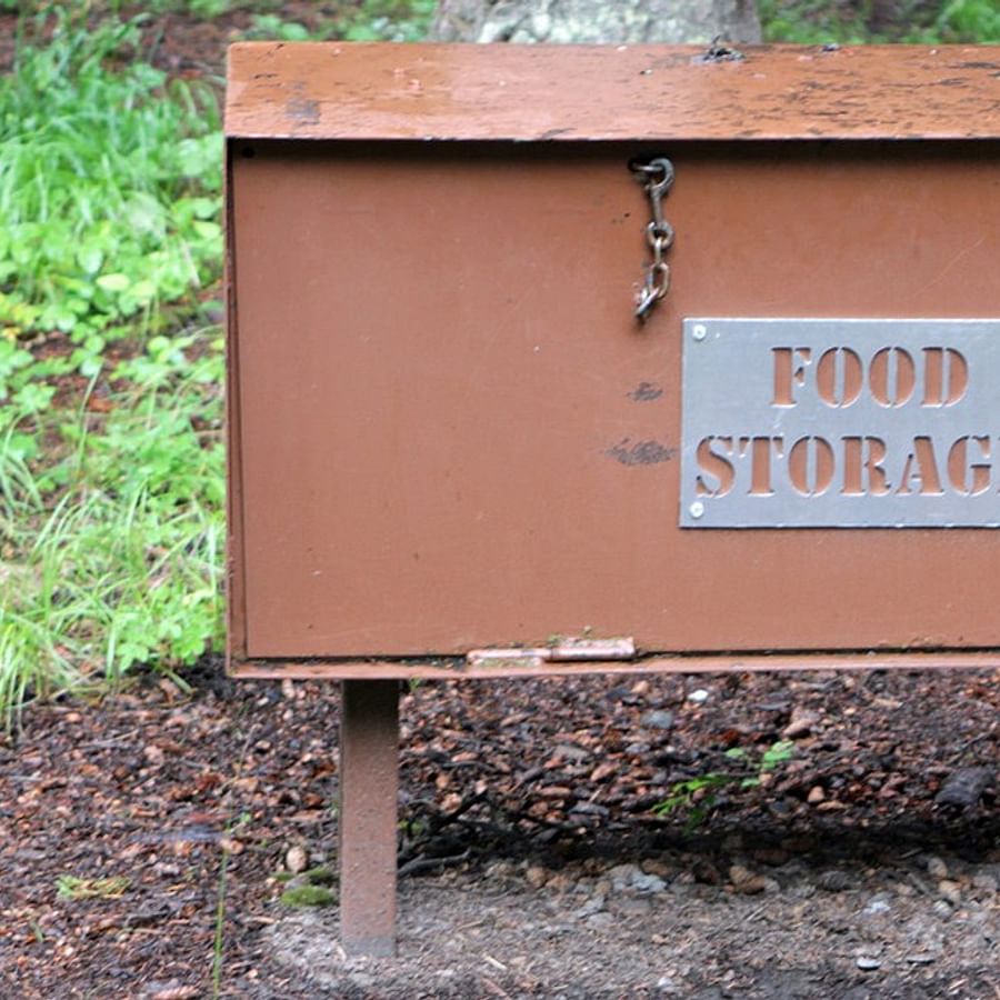 Bear-resistant food storage canisters and bags at a campsite