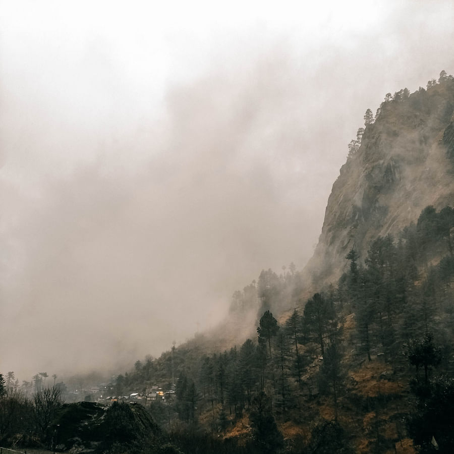 Inviting spread of no-cook camping meals at a campsite