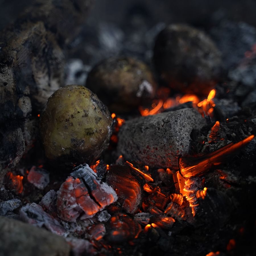 Fresh vegetables being grilled over a campfire during an outdoor adventure