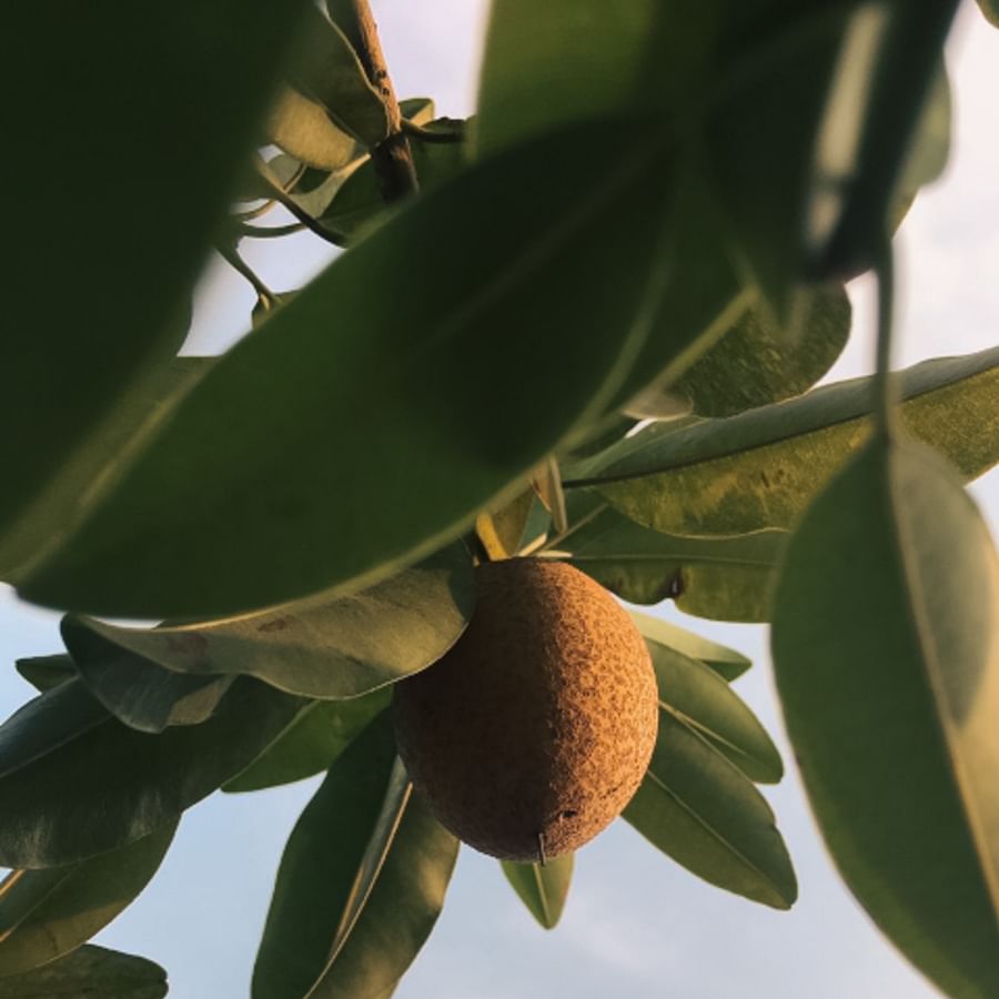Family enjoying a healthy camping meal outdoors