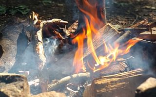 What are the best and easiest foods to cook on an open fire while camping?